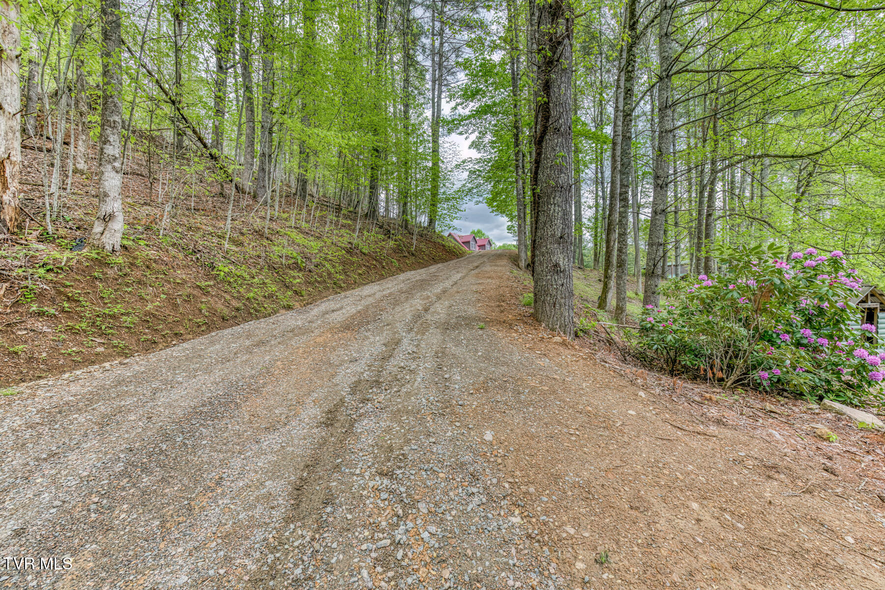 584 Dotson Road, Trade, Tennessee image 42