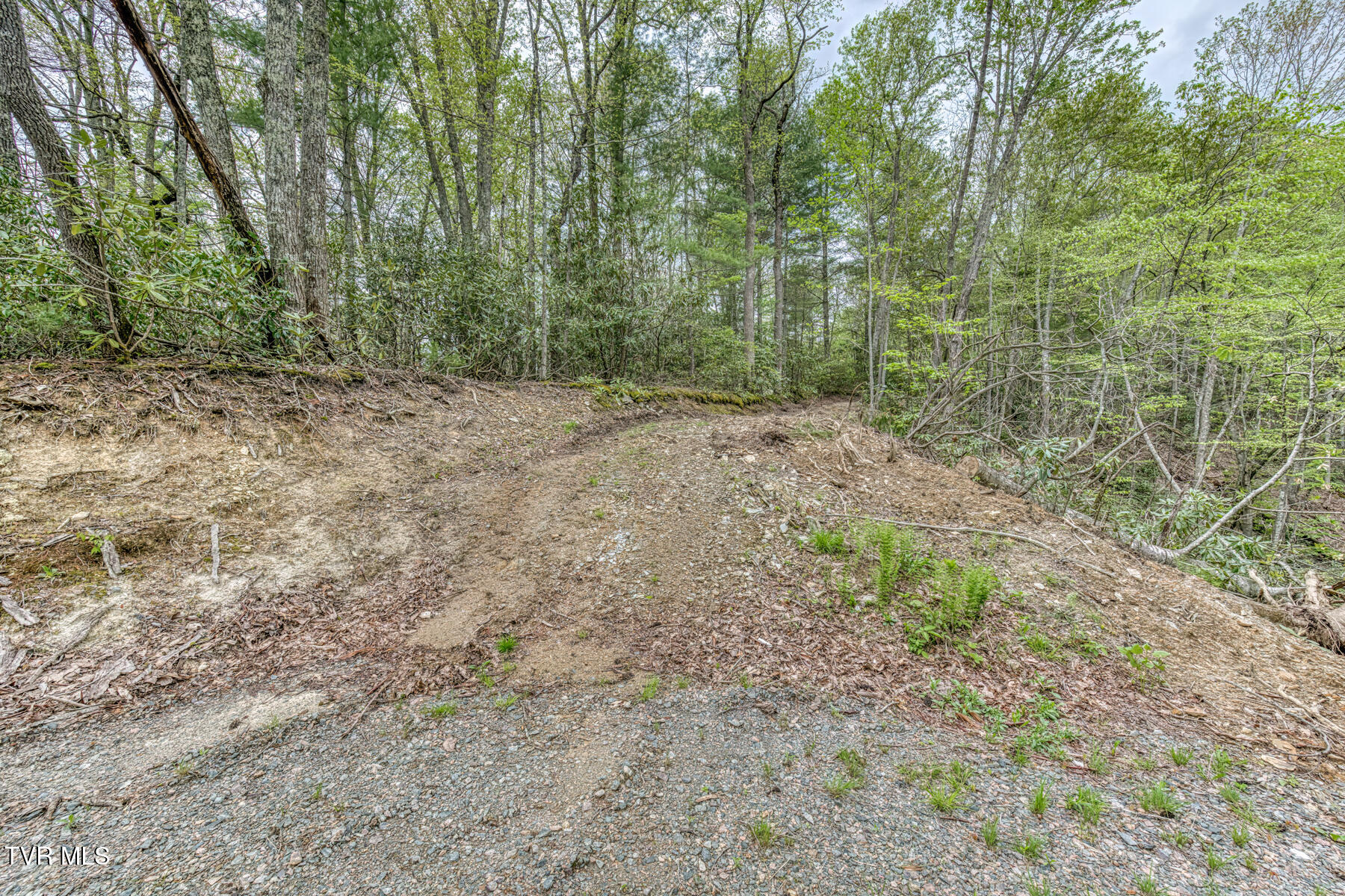 584 Dotson Road, Trade, Tennessee image 39