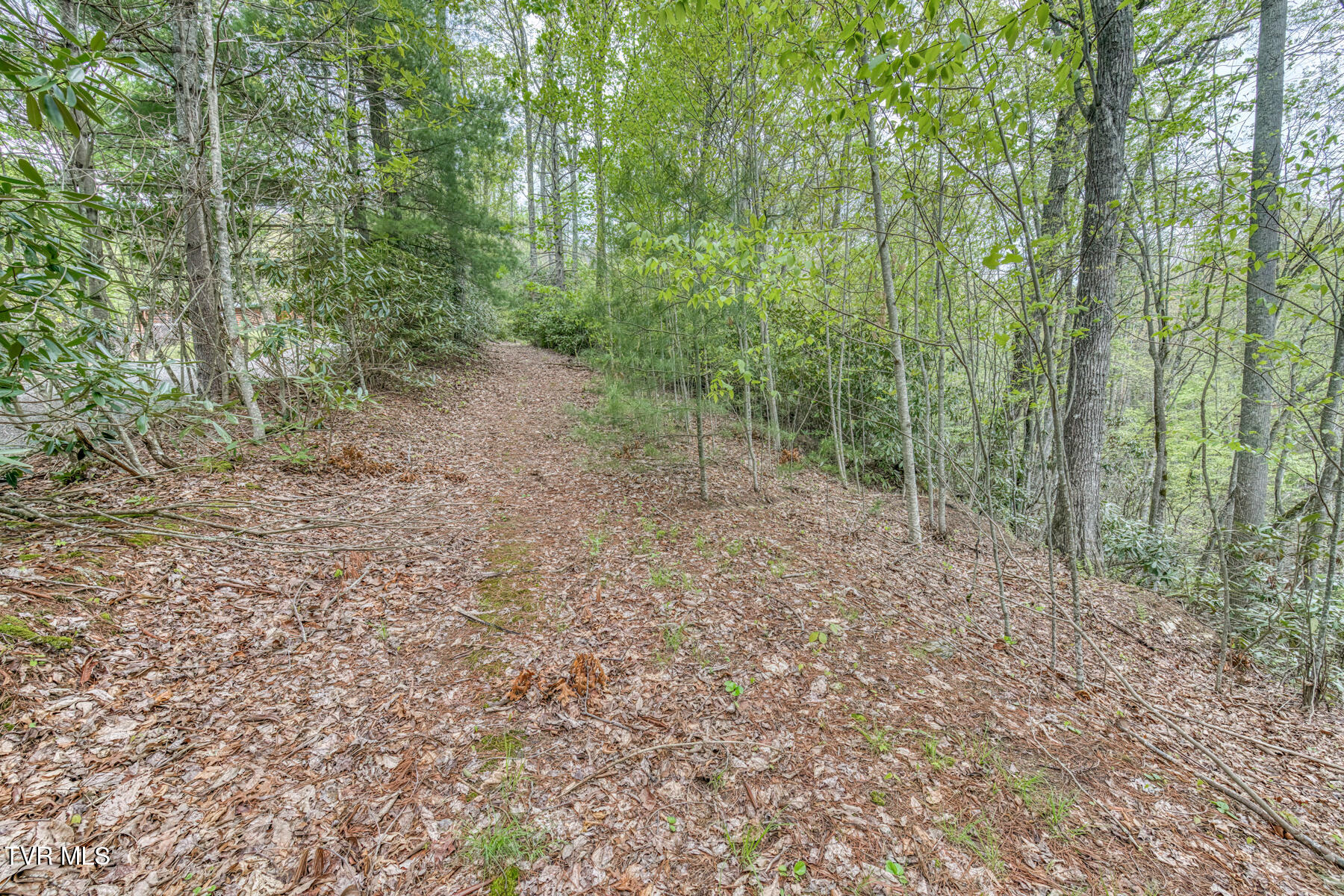 584 Dotson Road, Trade, Tennessee image 40