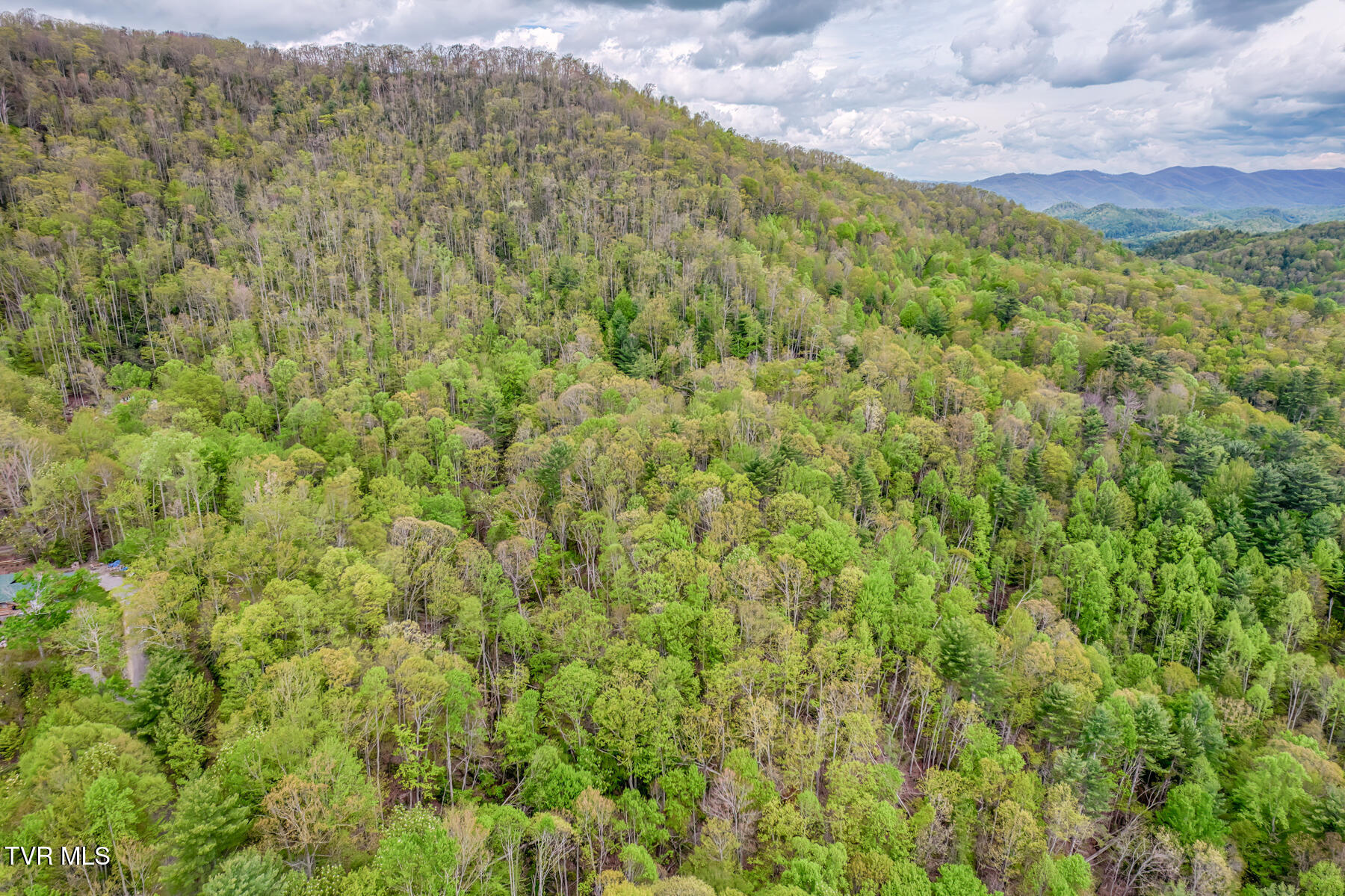 584 Dotson Road, Trade, Tennessee image 46