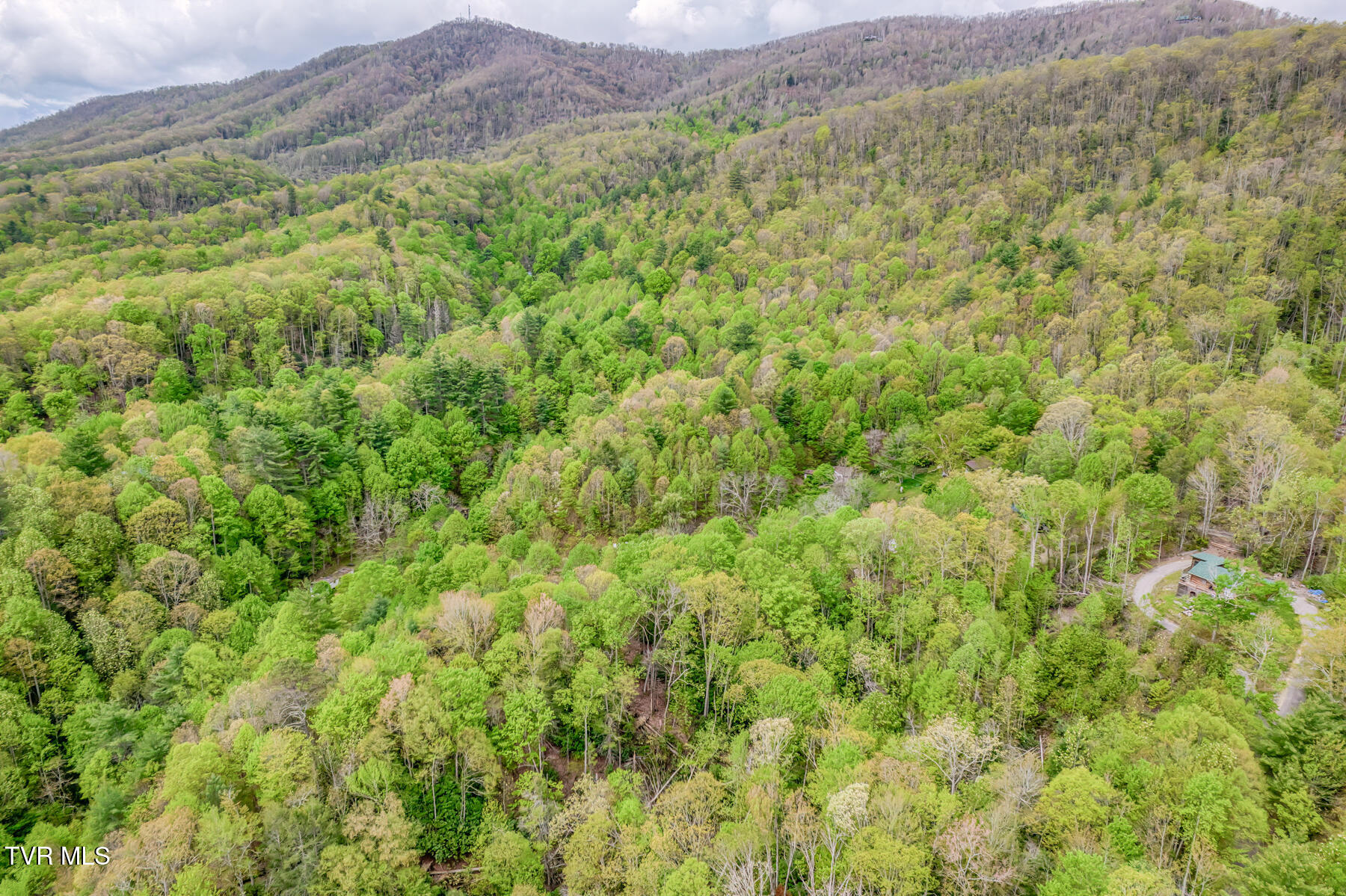 584 Dotson Road, Trade, Tennessee image 49