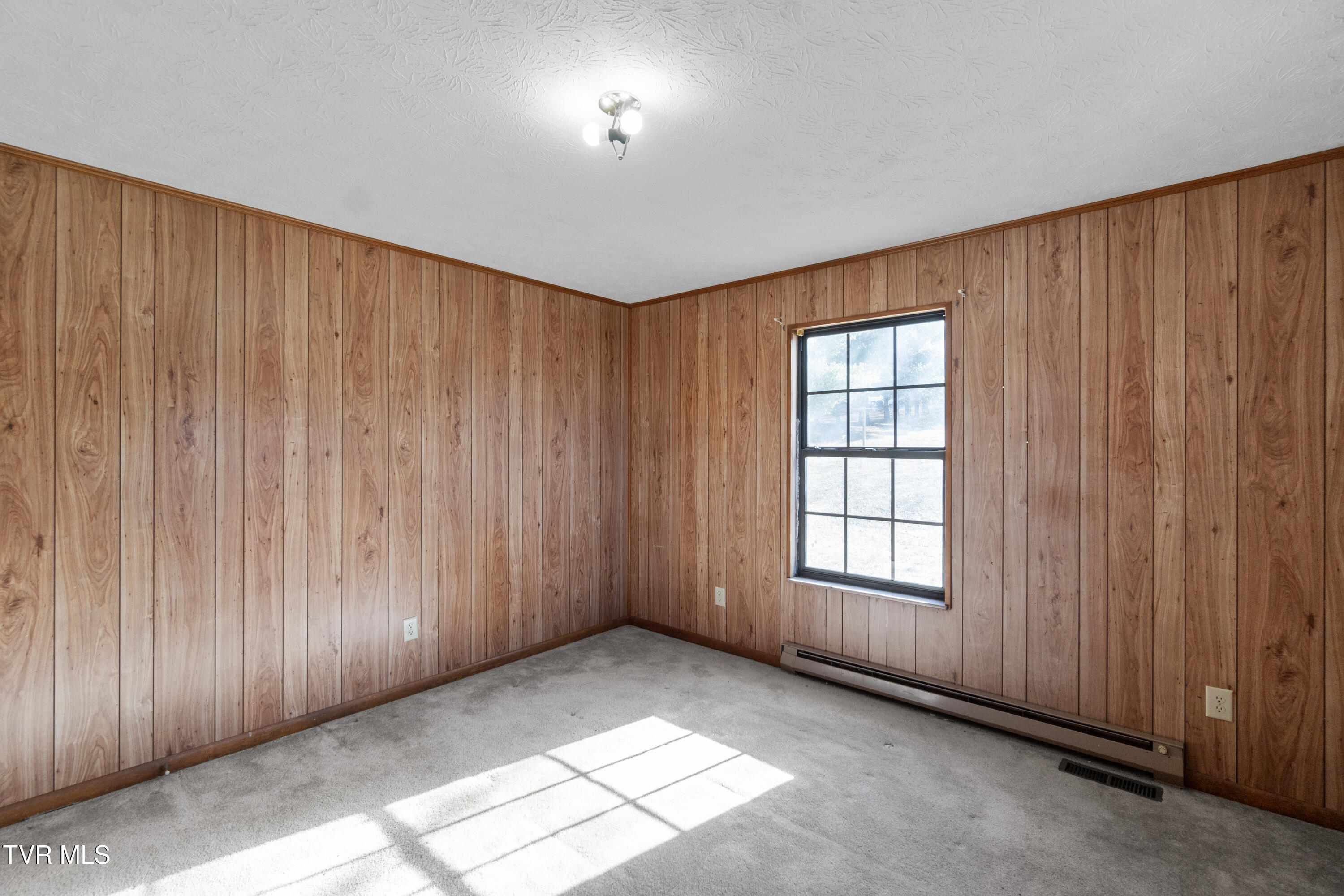 1590 Old Snapps Ferry Rd, Chuckey, Tennessee image 20