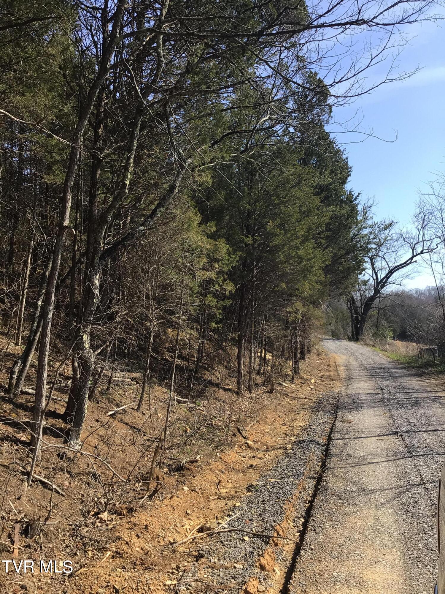 3 Andrew Johnson Highway, Bulls Gap, Tennessee image 9