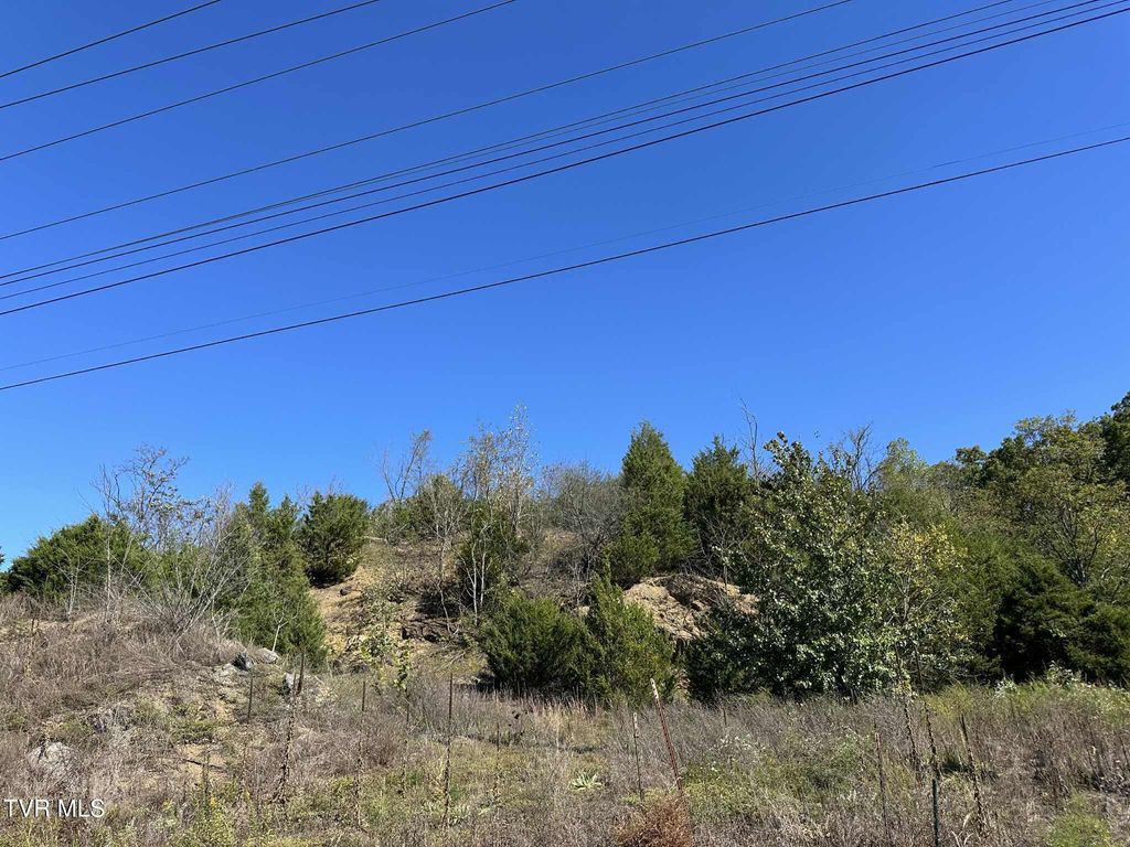 Photo of Tbd Andrew Johnson Highway, Mosheim, TN 37818 (MLS # 9986699)