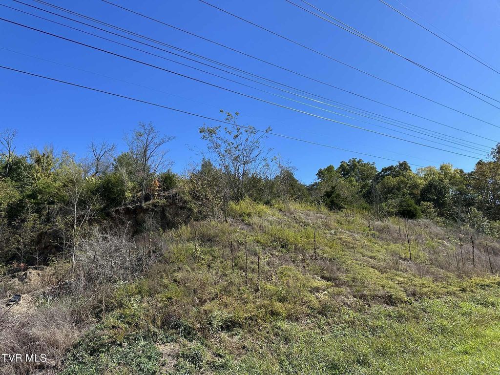 Photo of Tbd Andrew Johnson Highway, Mosheim, TN 37818 (MLS # 9986699)
