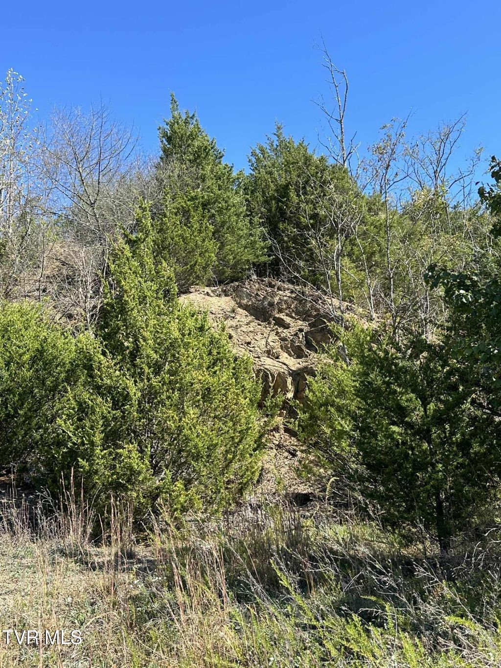 Photo of Tbd Andrew Johnson Highway, Mosheim, TN 37818 (MLS # 9986699)