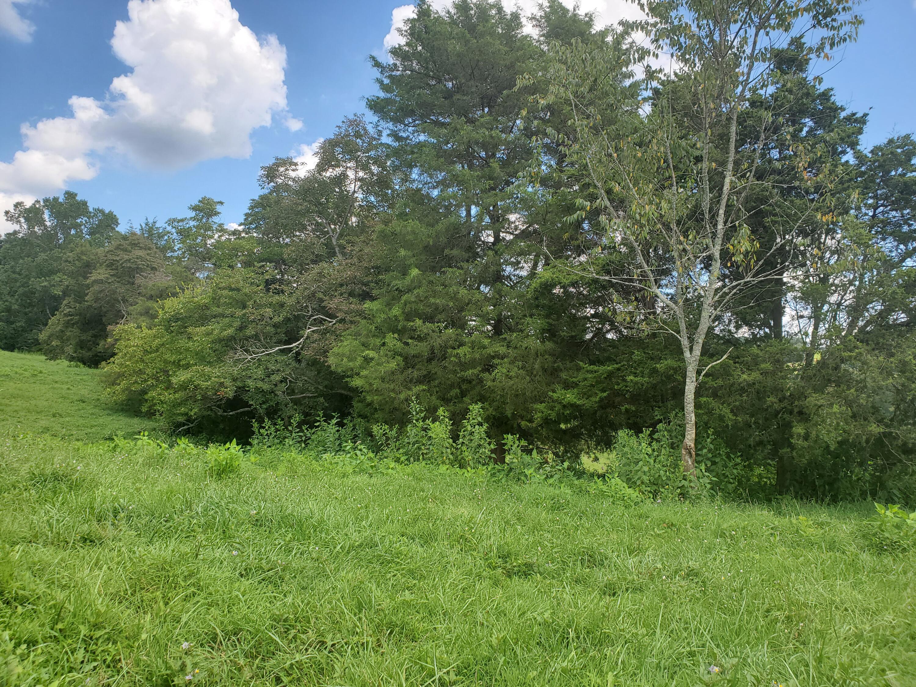 Tbd Rocky Hollow Road, Jonesborough, Tennessee image 9