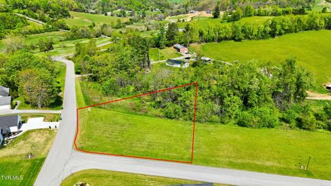 Vacant Land For Sale - TBD Spyglass Court #LOT E-1<br/> Bristol, VA 24202