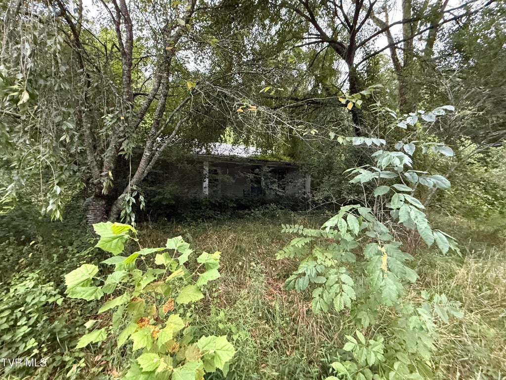 Photo of 730 Taggart Avenue, Big Stone Gap, VA 24219 (MLS # 9998498)