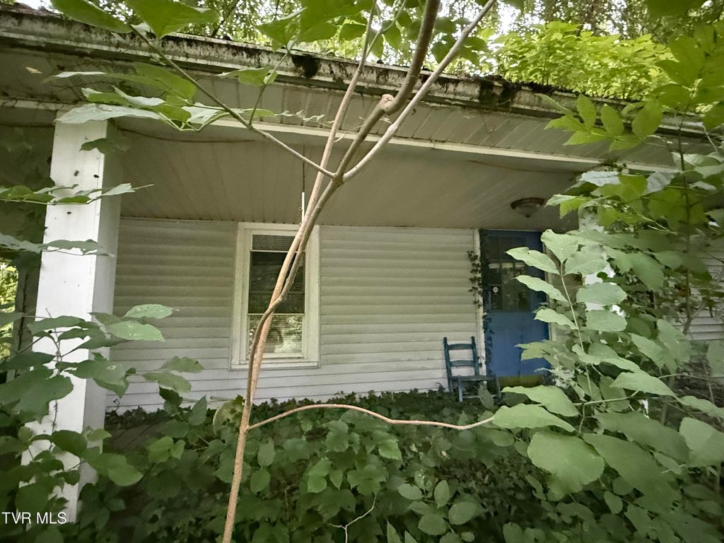 Photo of 730 Taggart Avenue, Big Stone Gap, VA 24219 (MLS # 9998498)