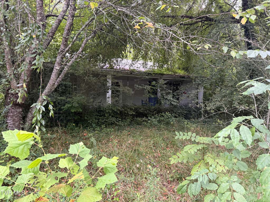 Photo of 730 Taggart Avenue, Big Stone Gap, VA 24219 (MLS # 9998498)