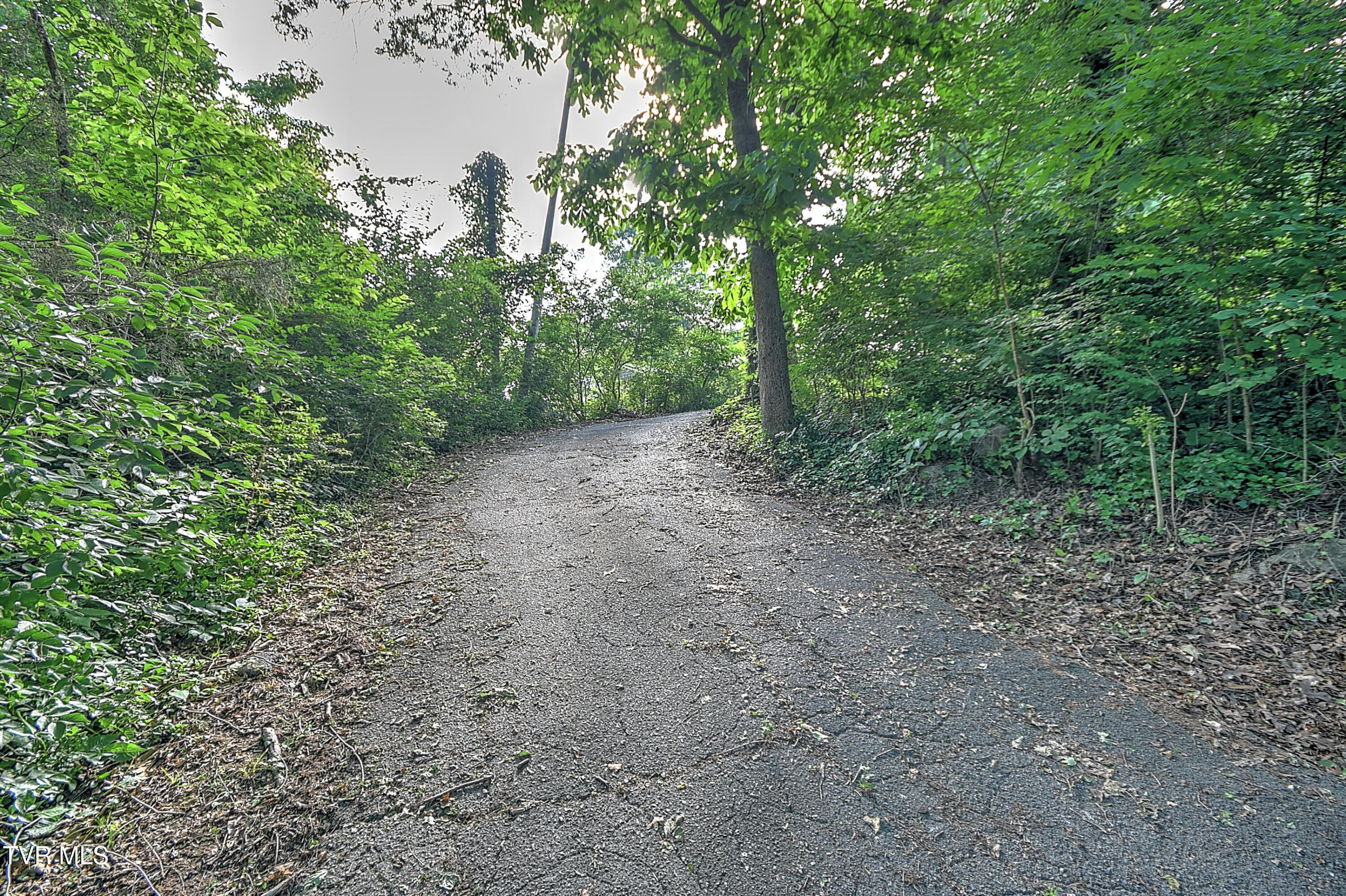 609 Oakland Court, Johnson City, Tennessee image 35