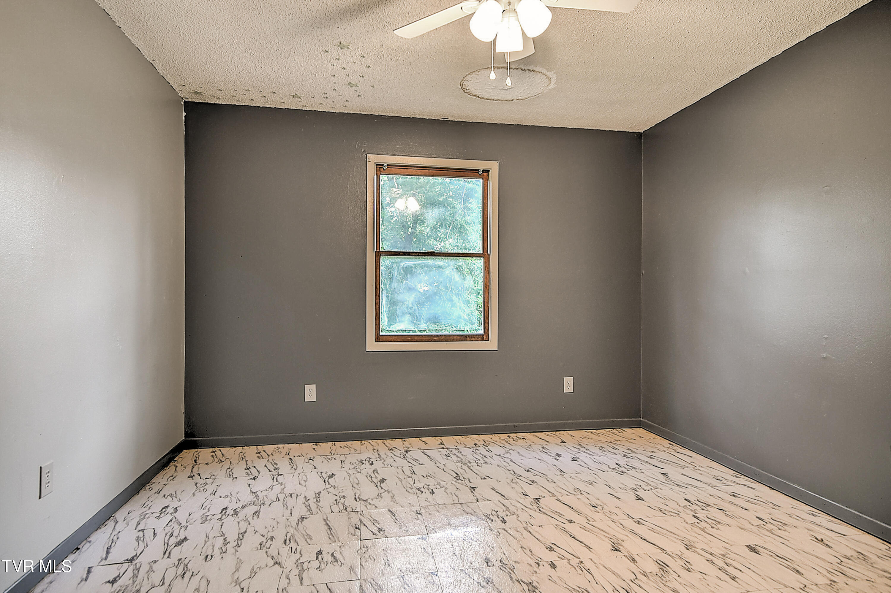 609 Oakland Court, Johnson City, Tennessee image 13