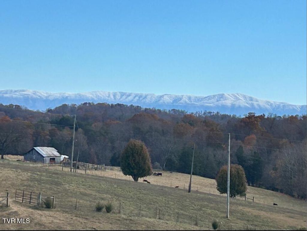 Photo of 1160 Red Gate Road, Greeneville, TN 37743 (MLS # 9989445)