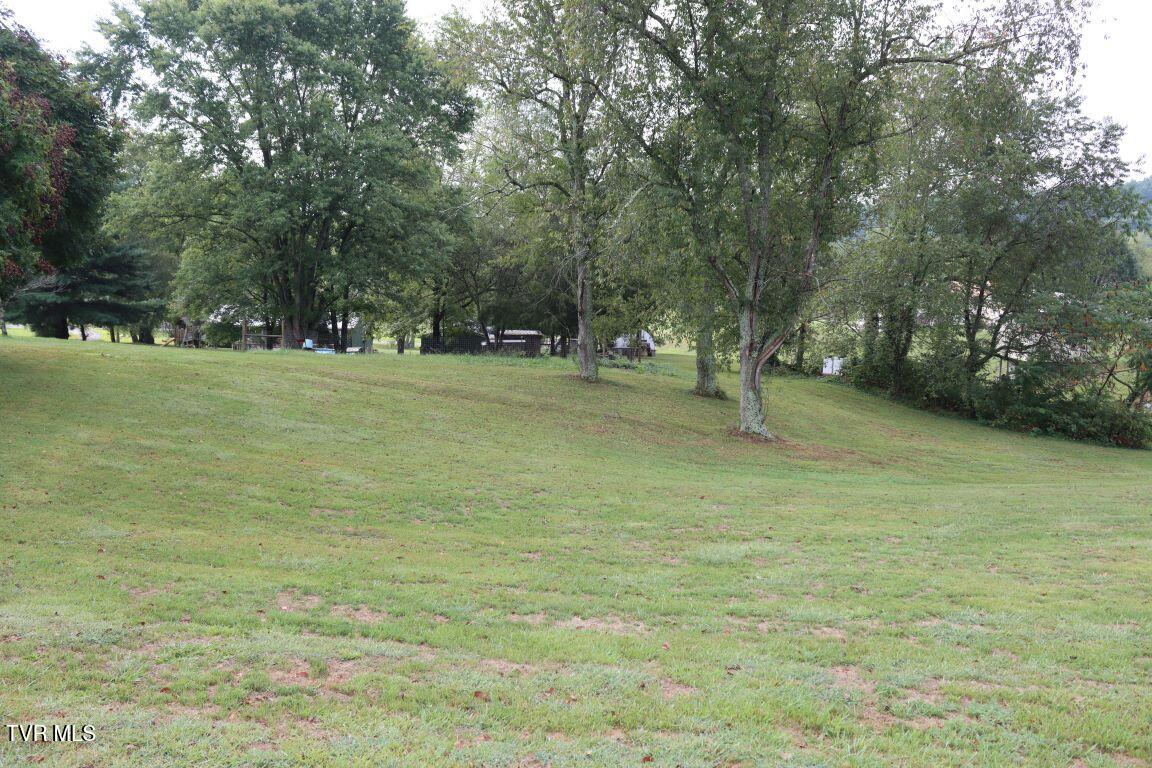 14264 Wellbridge Drive, Meadowview, Virginia image 33