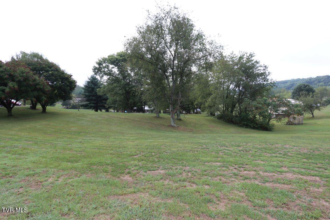 14264 Wellbridge Drive, Meadowview, Virginia image 35