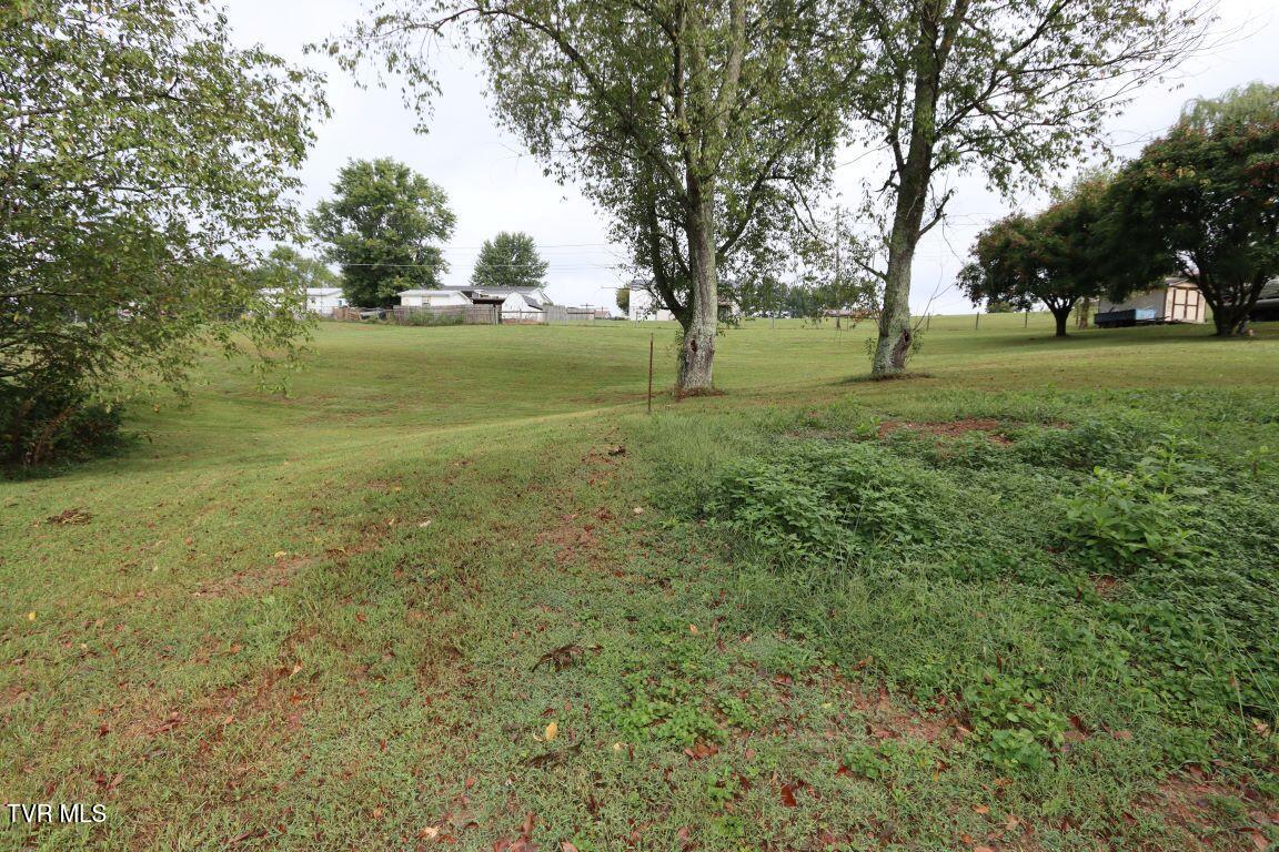 14264 Wellbridge Drive, Meadowview, Virginia image 37
