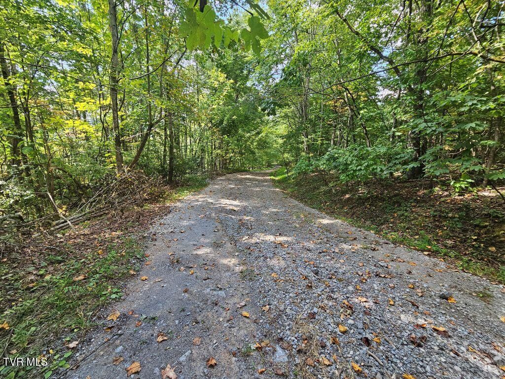 Photo of 7 Wildflower Way, Tazewell, VA 24651 (MLS # 9976240)