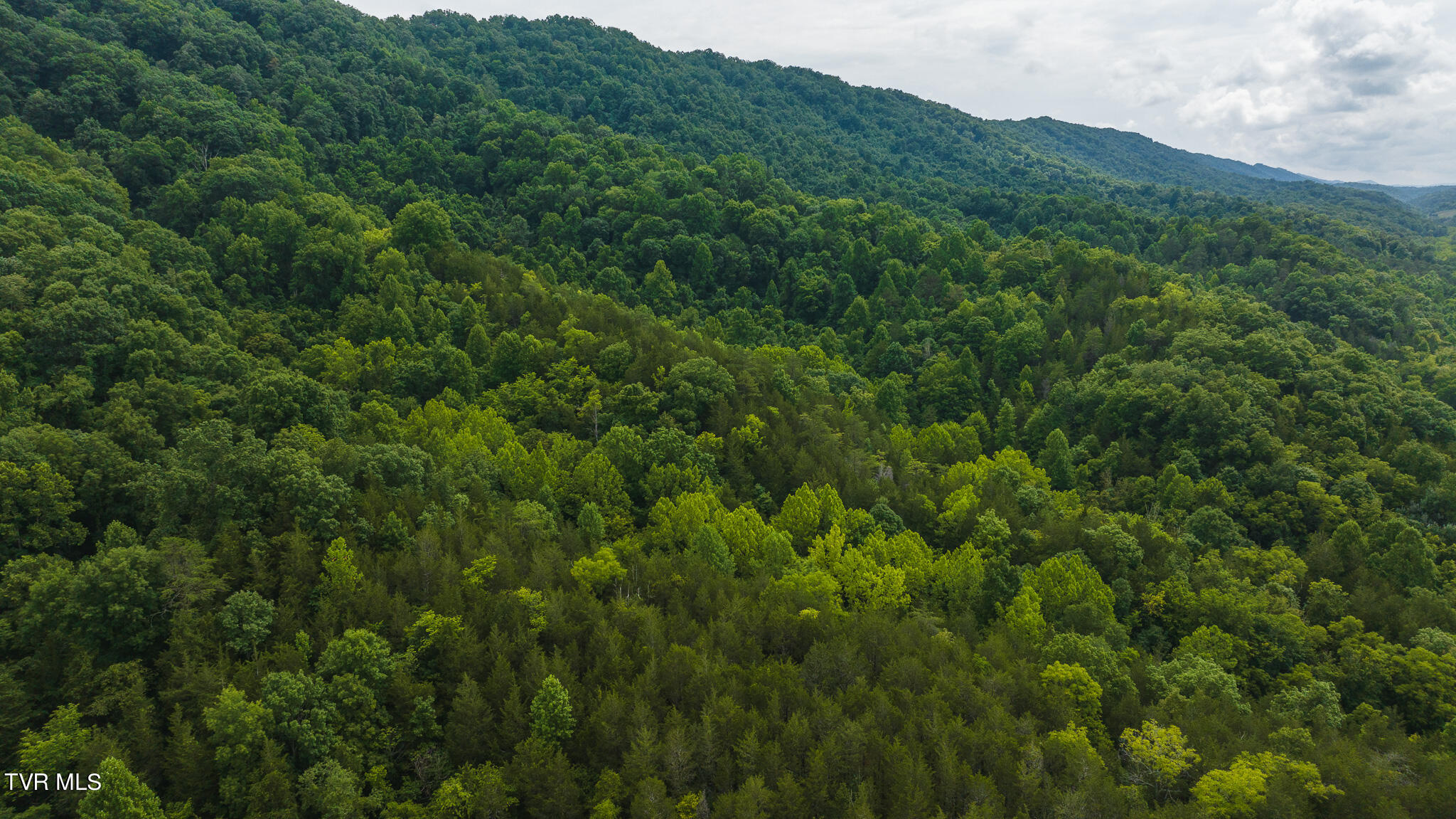 174 Acres War Creek Road, Eidson, Tennessee image 39
