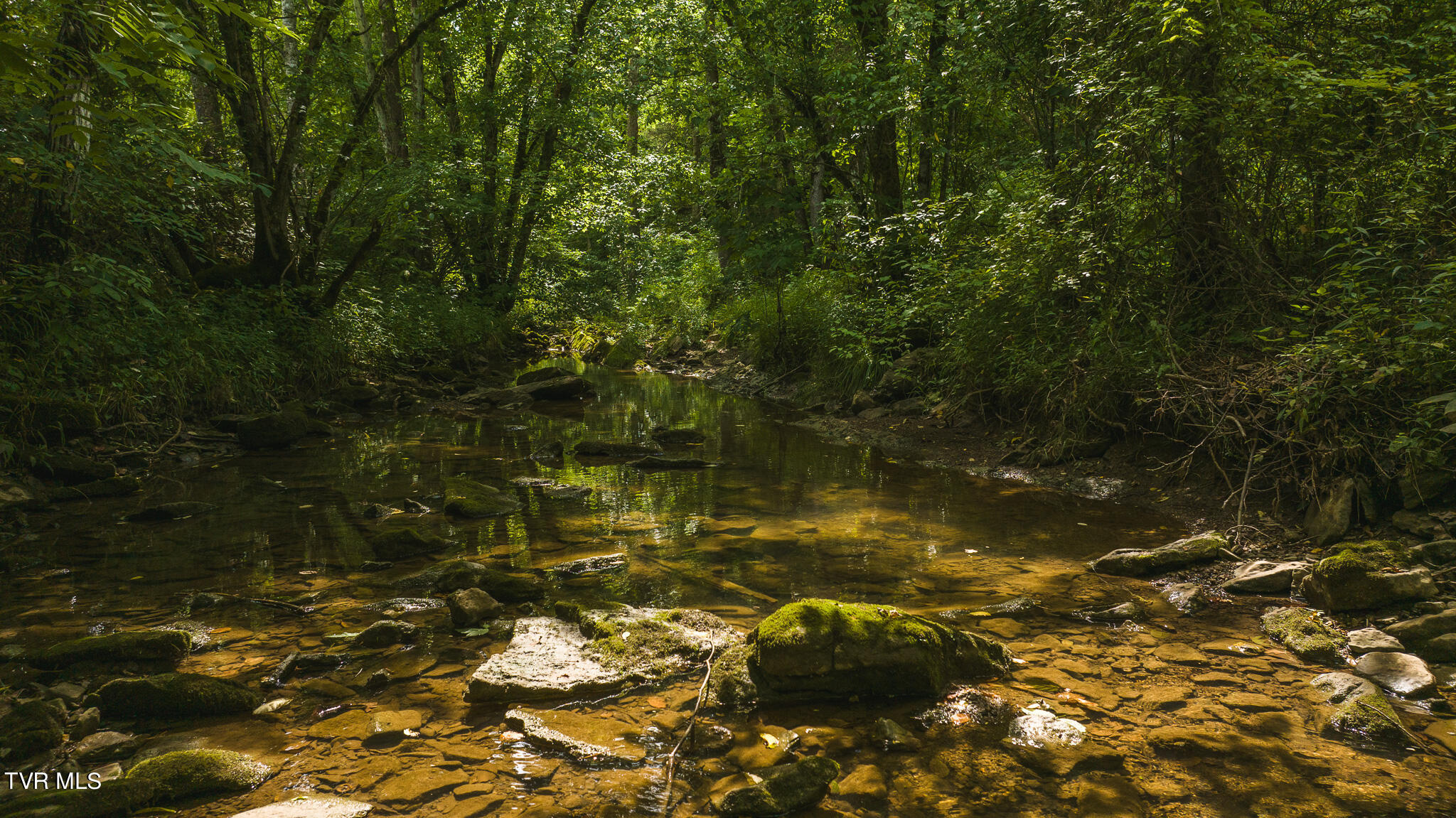 174 Acres War Creek Road, Eidson, Tennessee image 43
