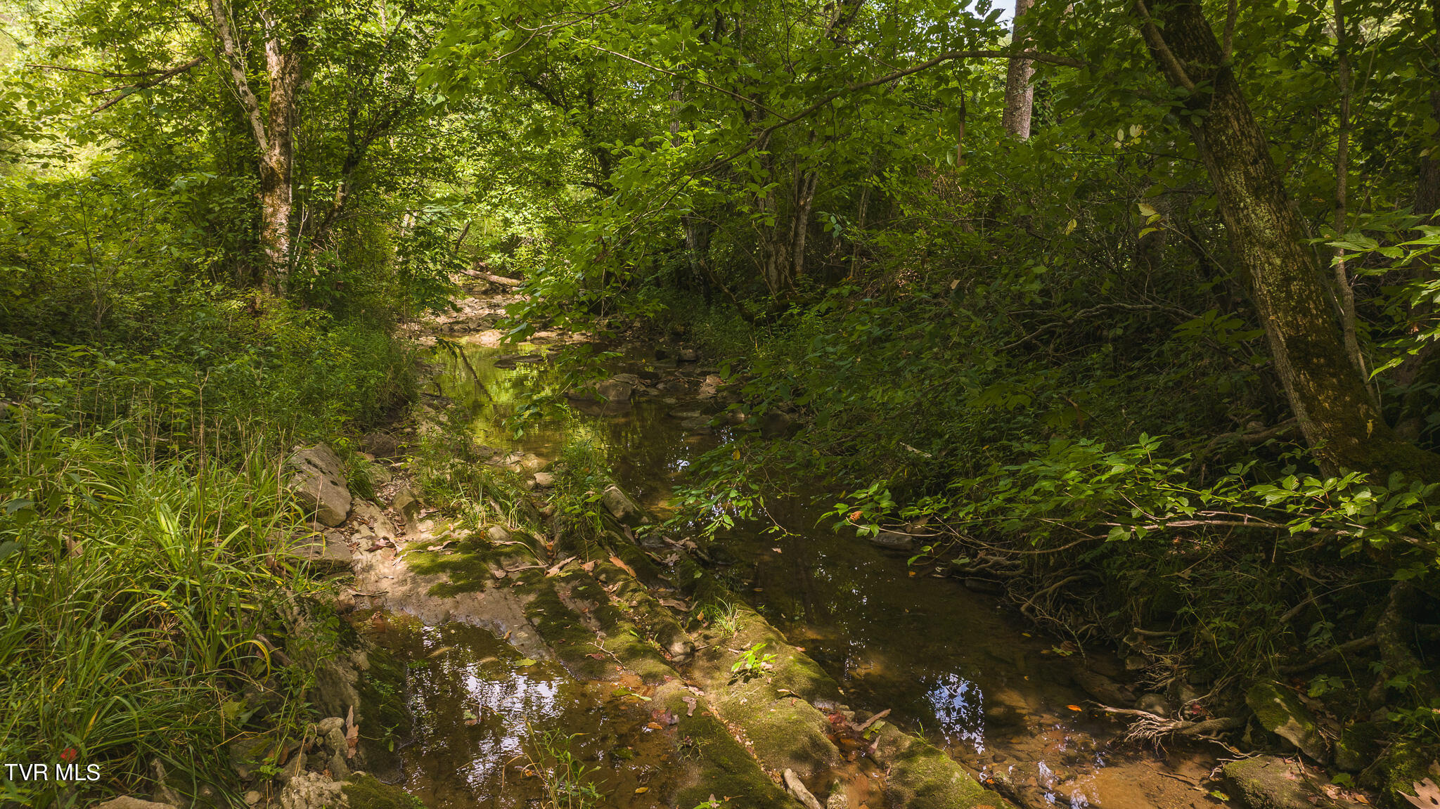 174 Acres War Creek Road, Eidson, Tennessee image 49