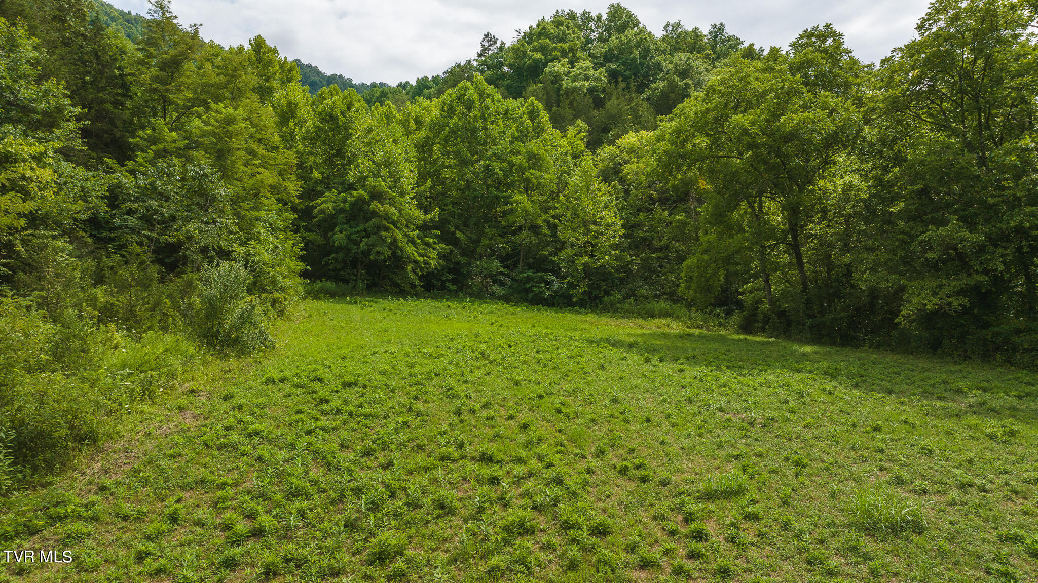 174 Acres War Creek Road, Eidson, Tennessee image 1