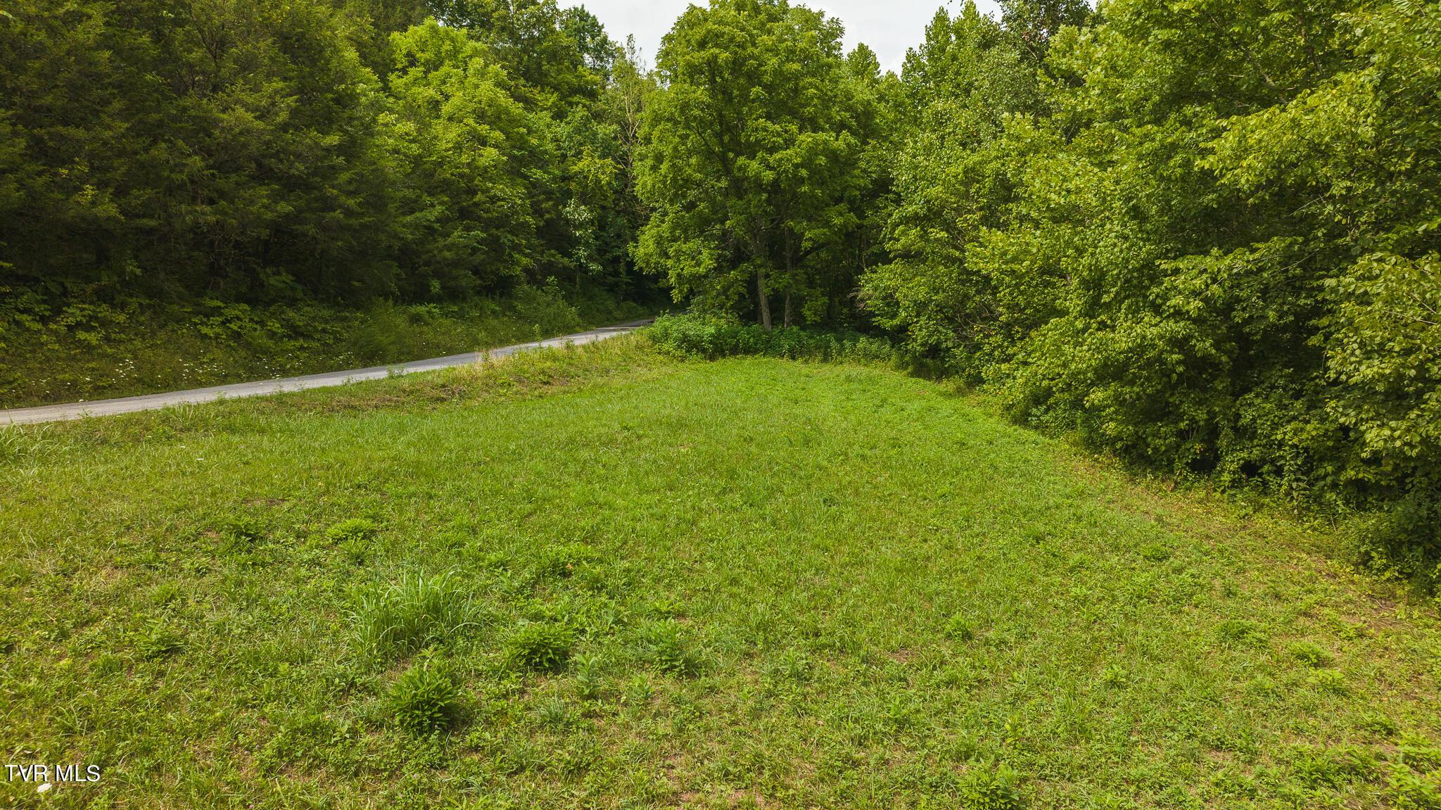 174 Acres War Creek Road, Eidson, Tennessee image 21
