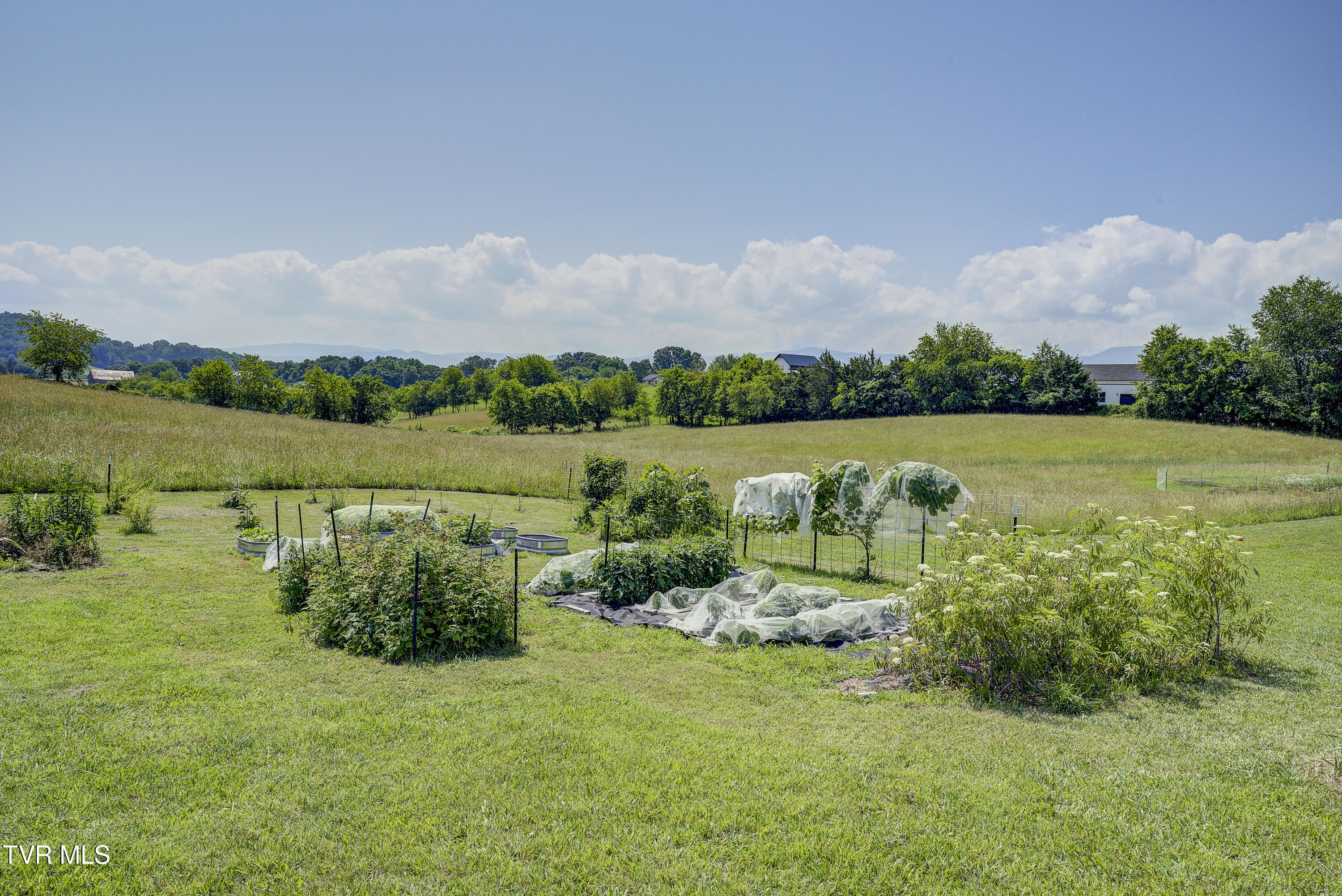 253 Stockton Road, Chuckey, Tennessee image 46