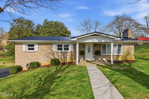 242 Redstone Drive Bluff City TN 37618