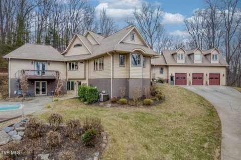 Photo of 520 Highway 93, Fall Branch, TN 37656 (MLS # 9989817)