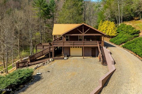 Photo of 244 Bill Branch Lane, Butler, TN 37640 (MLS # 9993272)