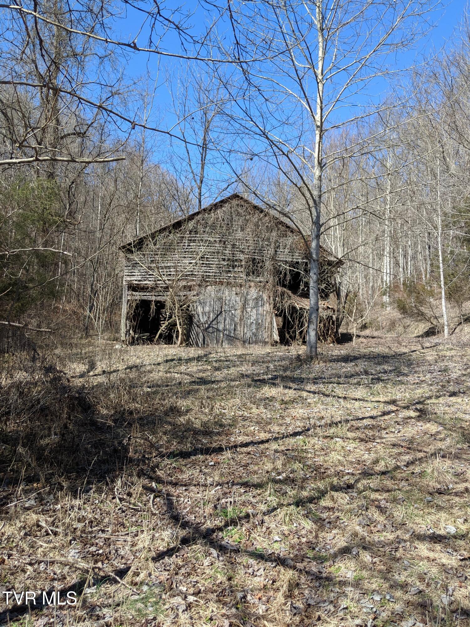 5 Fingers/forks Ln, Fort Blackmore, Virginia image 15