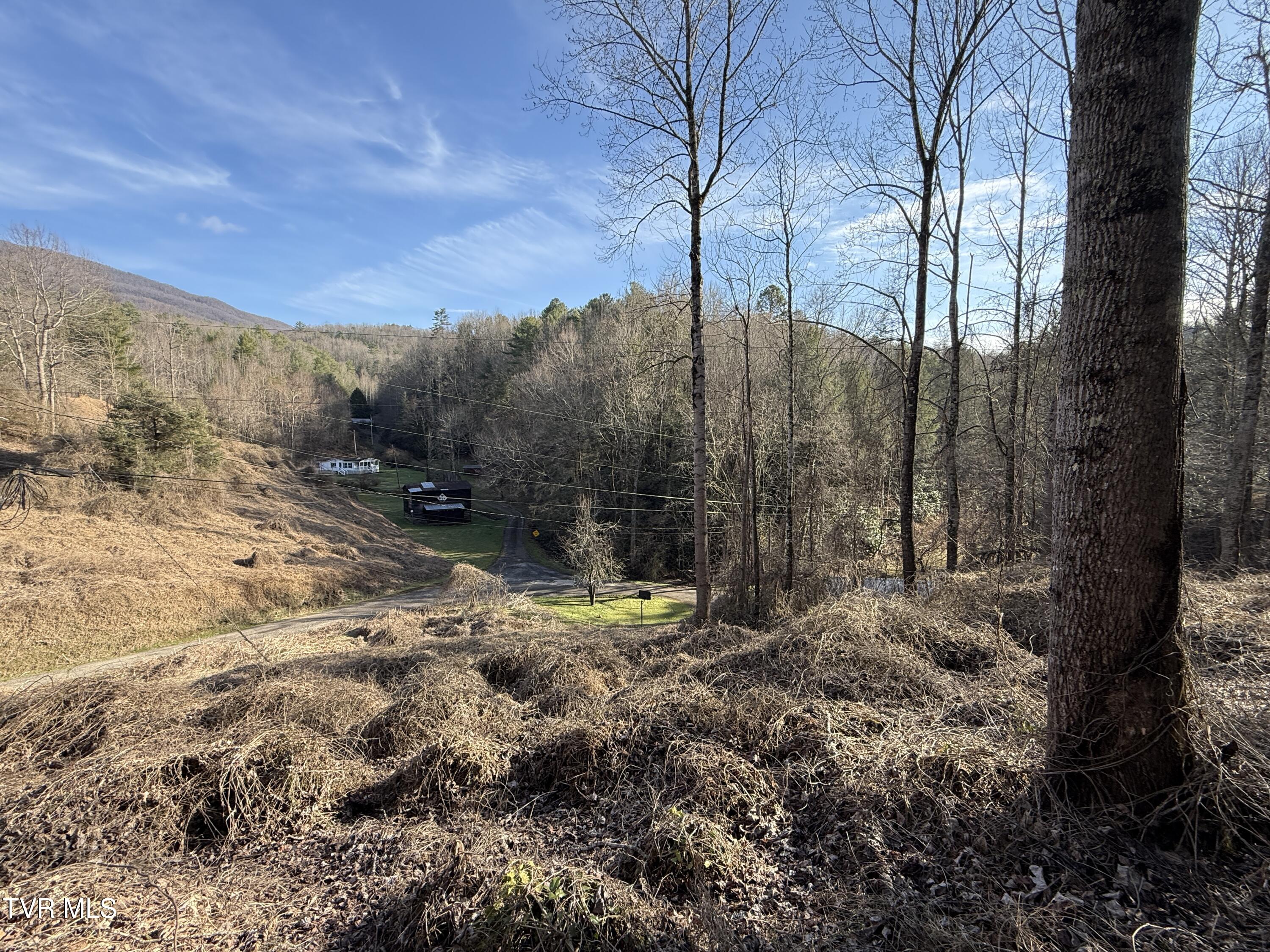 3.18 Acres Blue Mill Road, Del Rio, Tennessee image 5