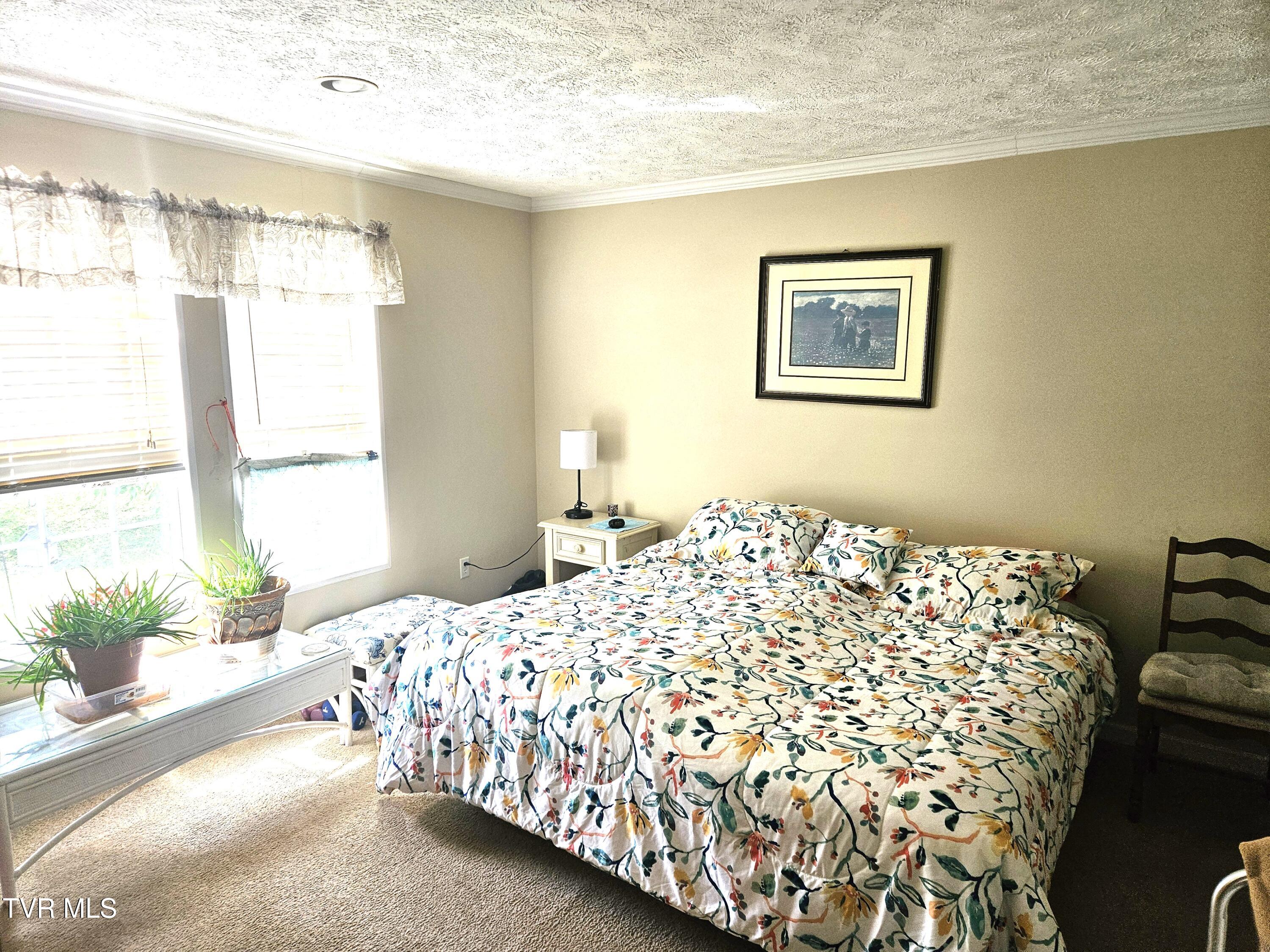230 Buzzard Roost Road, Bulls Gap, Tennessee image 22