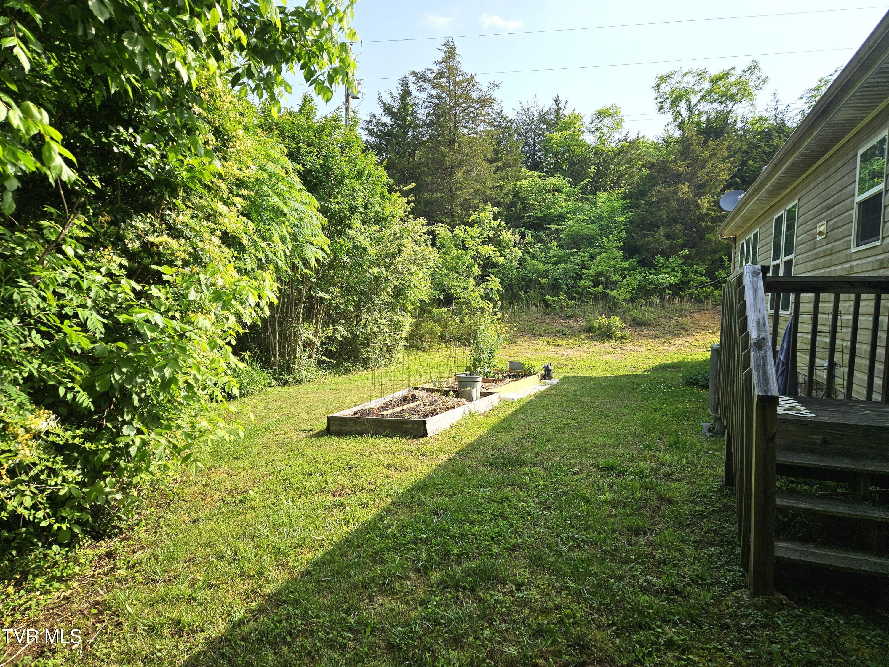 230 Buzzard Roost Road, Bulls Gap, Tennessee image 5