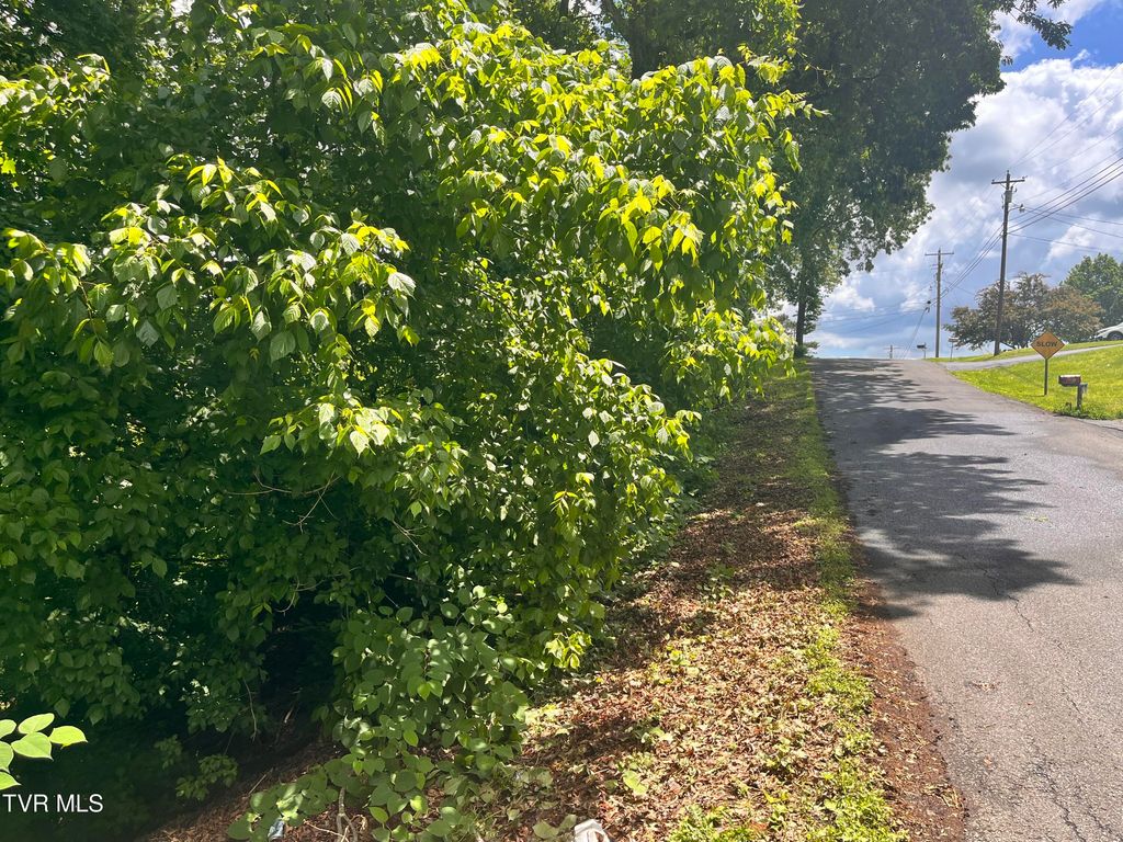 Photo of Tbd Northwood Ave, Johnson City, TN 37615 (MLS # 9980444)