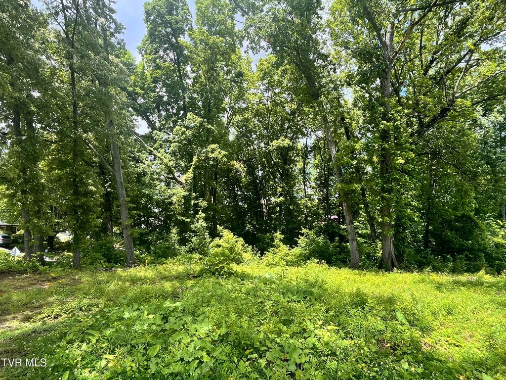 Photo of Tbd Northwood Ave, Johnson City, TN 37615 (MLS # 9980444)