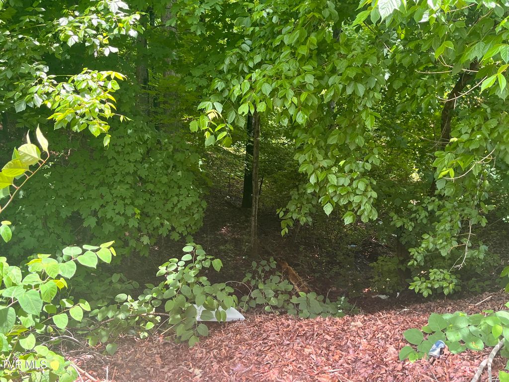 Photo of Tbd Northwood Ave, Johnson City, TN 37615 (MLS # 9980444)