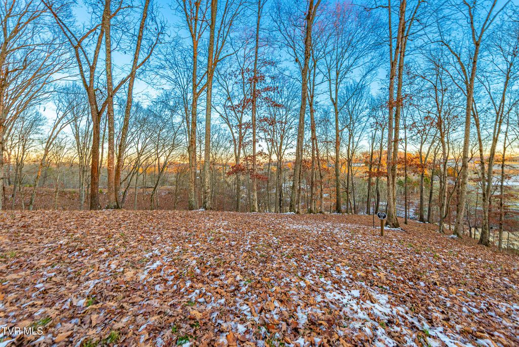 Photo of 2246 Turkey Ridge Drive, Piney Flats, TN 37686 (MLS # 9989329)