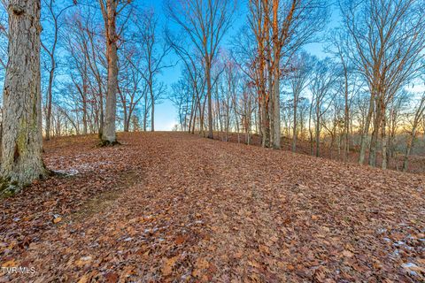 Vacant Land For Sale - 2246 Turkey Ridge Drive<br/> Piney Flats, TN 37686
