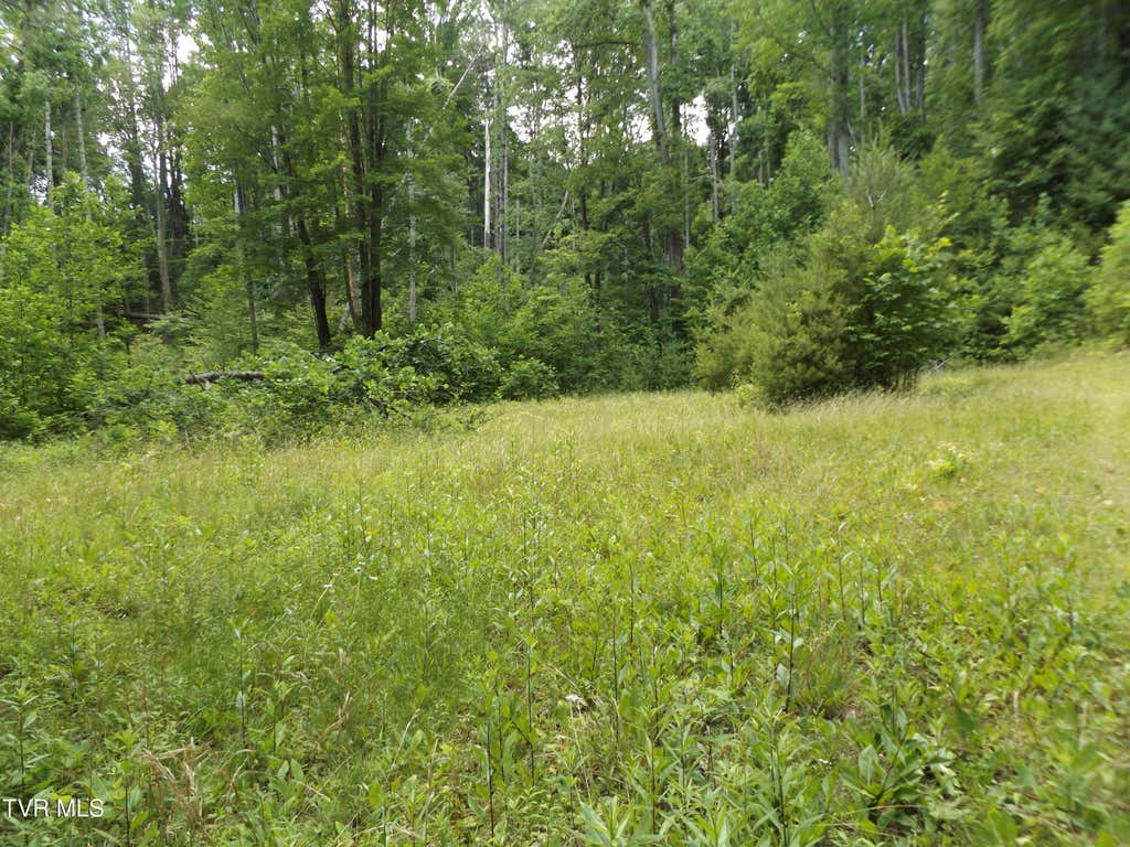 Photo of 709 Heartwood Lane #Lot 5, Butler, TN 37640 (MLS # 9996992)