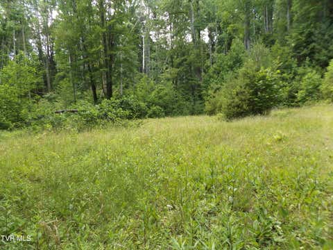 Vacant Land For Sale - 709 Heartwood Lane #LOT 5<br/> Butler, TN 37640