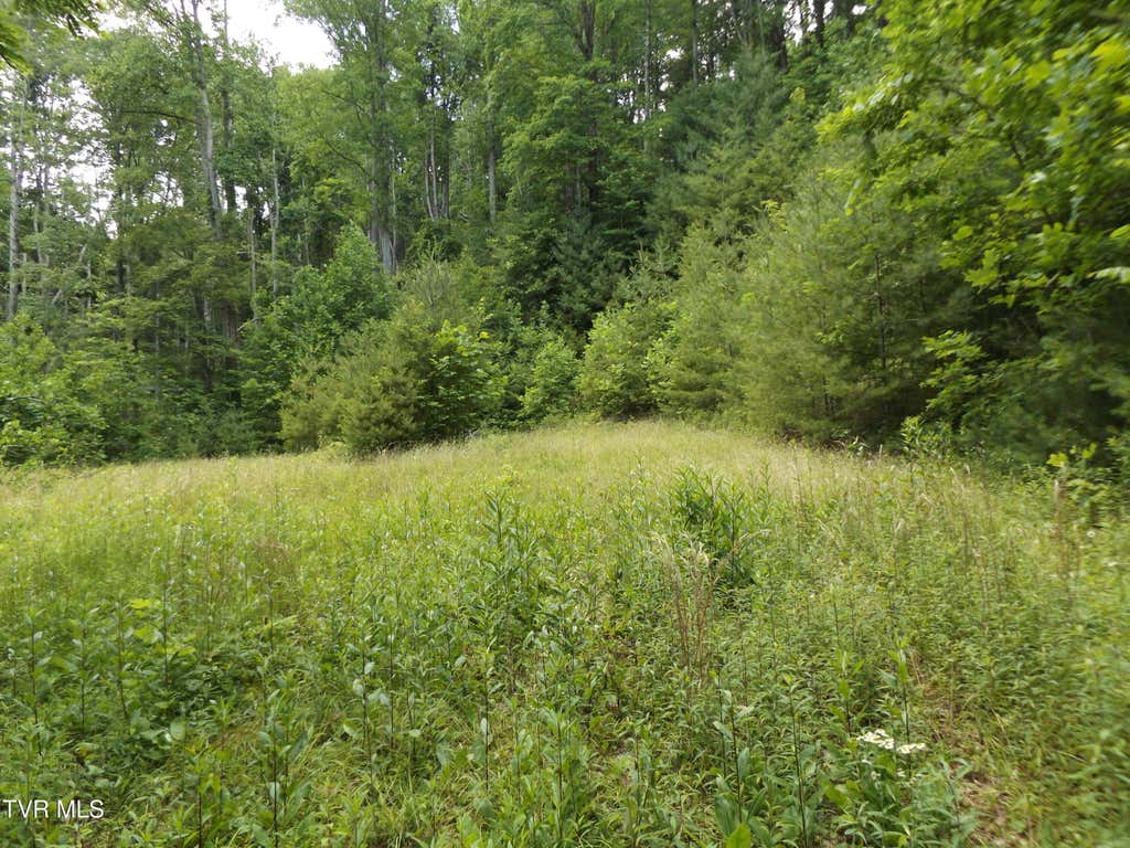 Photo of 709 Heartwood Lane #Lot 5, Butler, TN 37640 (MLS # 9996992)