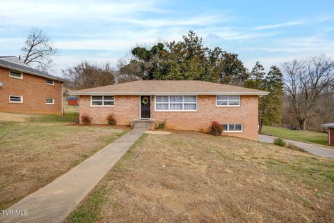 Photo of 131 Deadrick Drive, Kingsport, TN 37663 (MLS # 9989195)