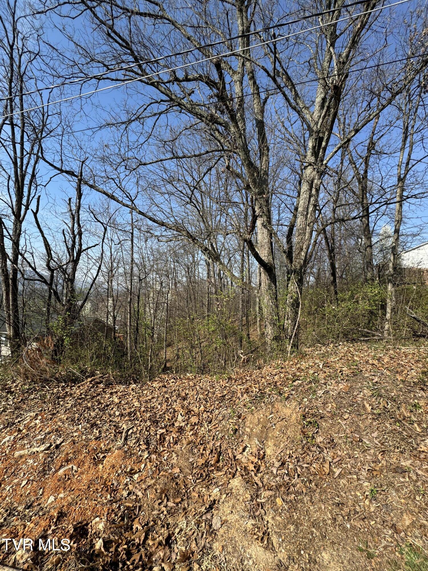 2137 Hiara Drive, Kingsport, Tennessee image 3