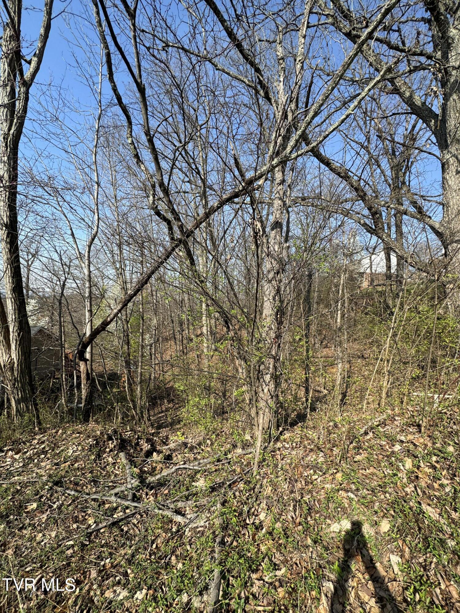 2137 Hiara Drive, Kingsport, Tennessee image 8