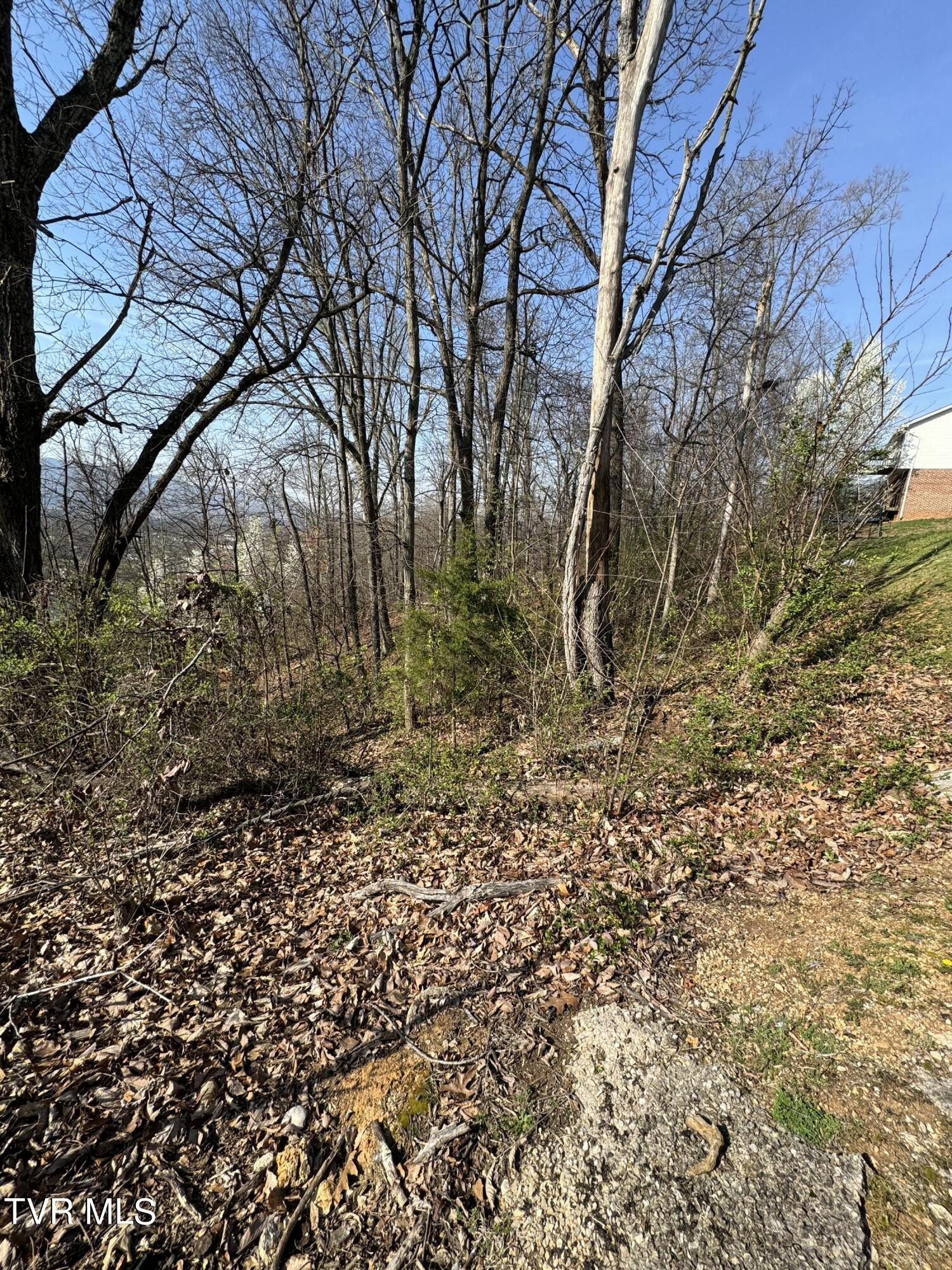 2137 Hiara Drive, Kingsport, Tennessee image 2