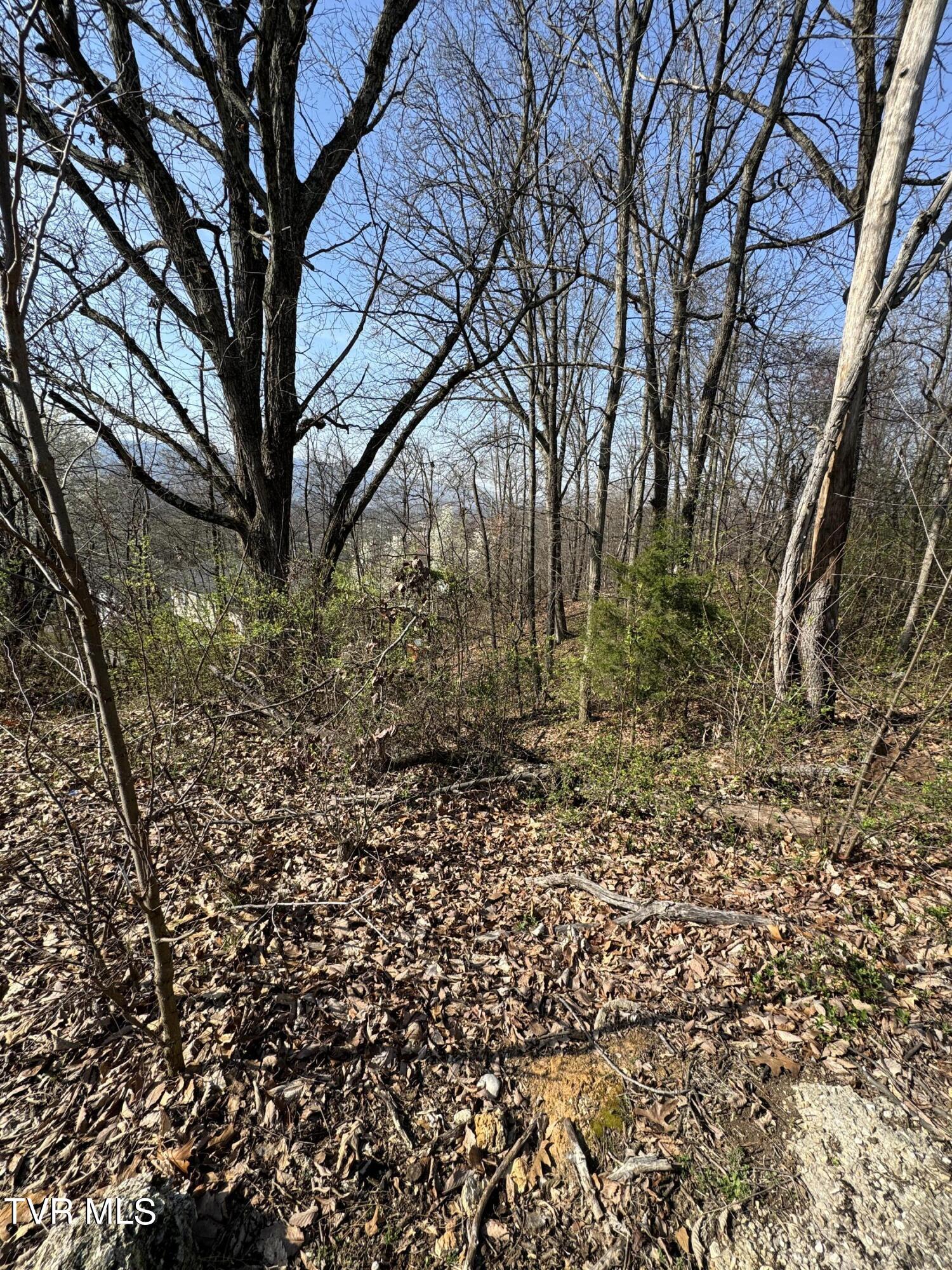 2137 Hiara Drive, Kingsport, Tennessee image 1