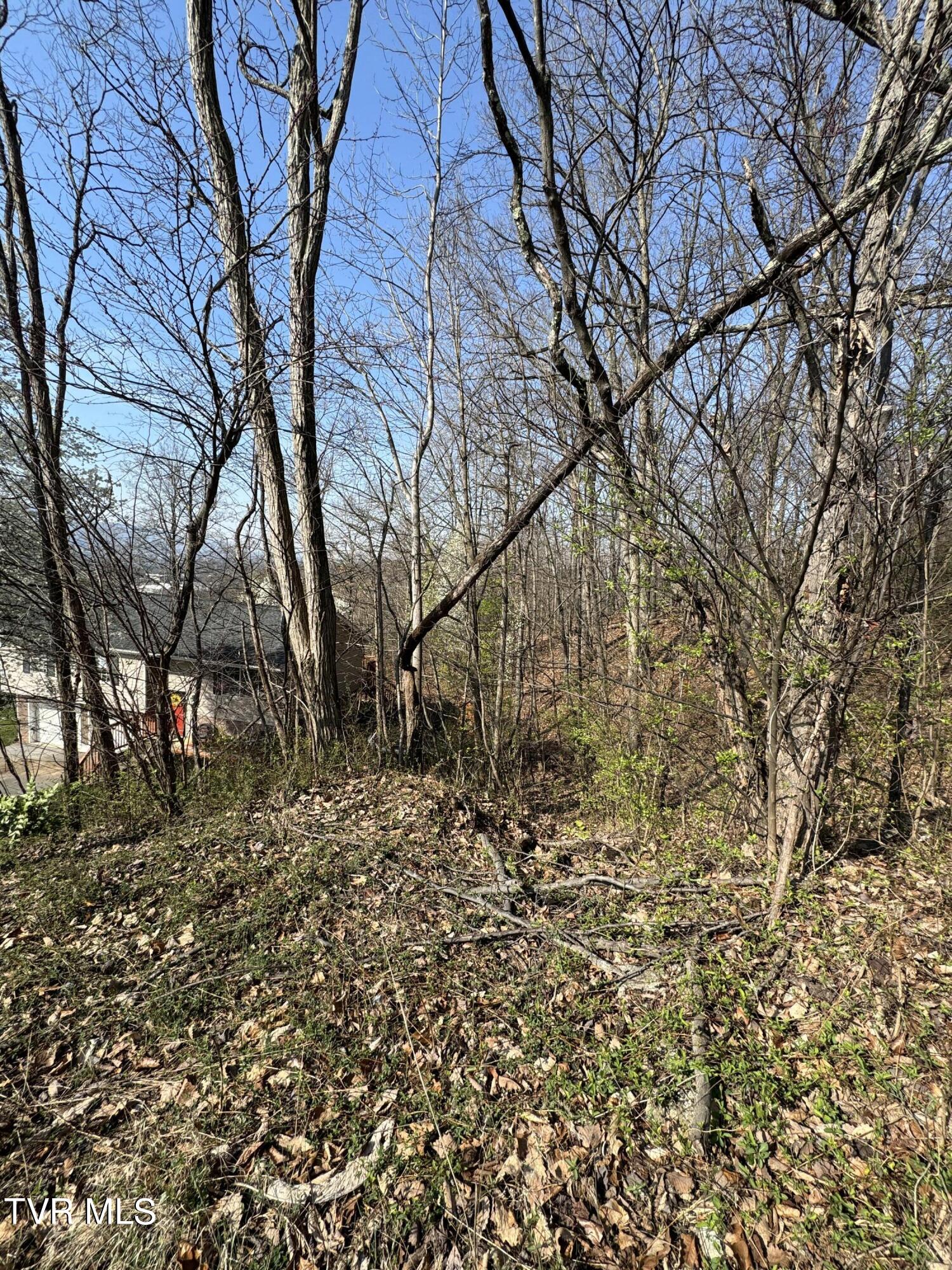 2137 Hiara Drive, Kingsport, Tennessee image 9