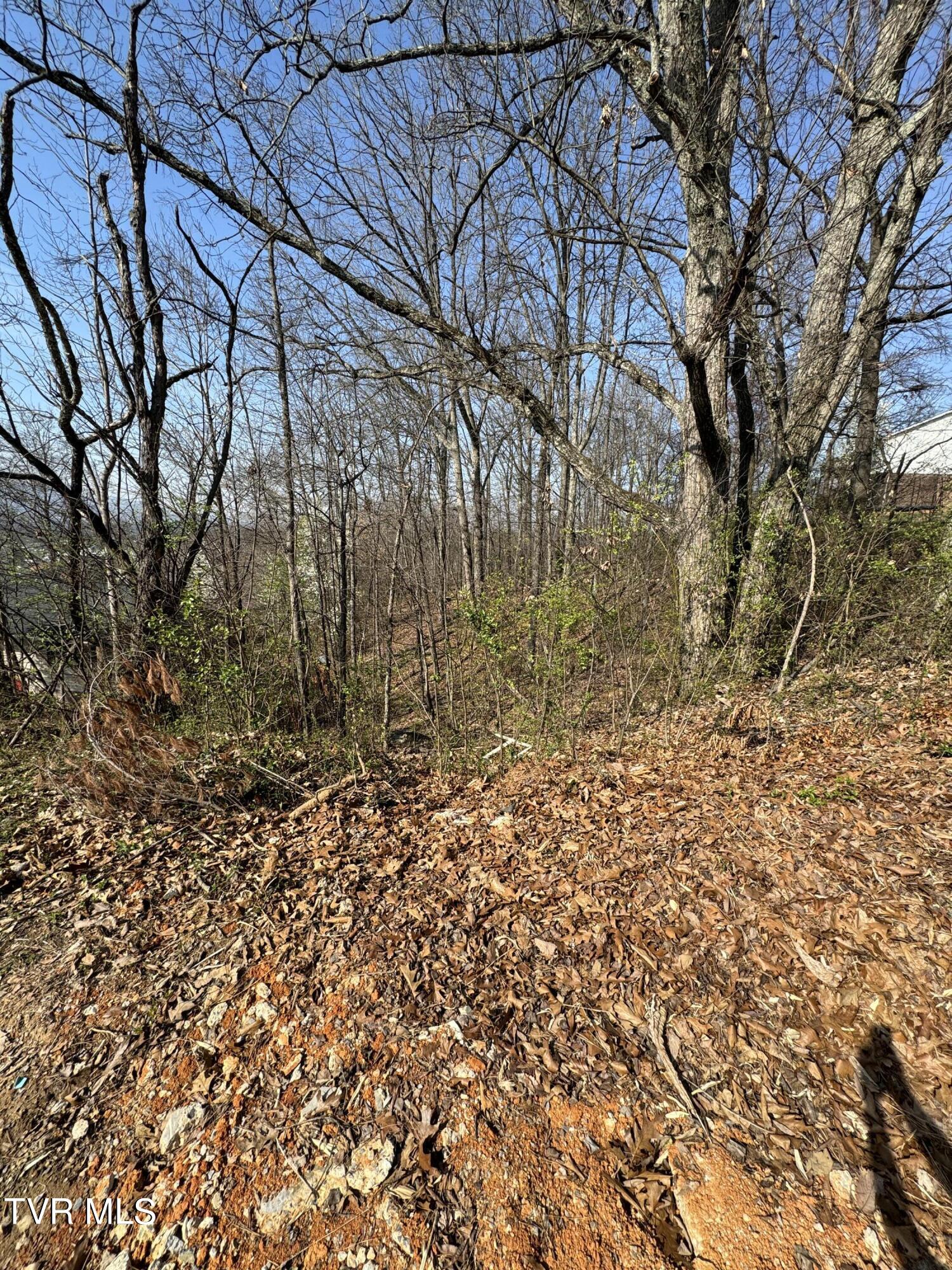 2137 Hiara Drive, Kingsport, Tennessee image 4